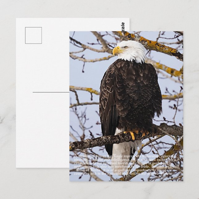 Postal Simbolismo de águila (Anverso / Reverso)