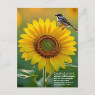 Postal Simbolismo del Girasol