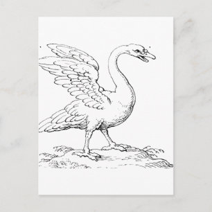 Postal Símbolo de cisne de amor y fidelidad Arte refinado