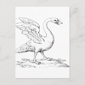 Postal Símbolo de cisne de amor y fidelidad Arte refinado