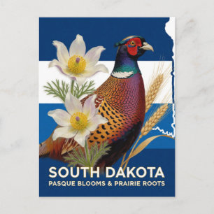 Postal Símbolos de faisán y flor pasque de Dakota del Sur