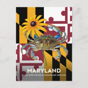 Postal Símbolos de Maryland Black Eyed Susan y Cangrejo