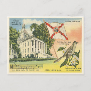 Postal Símbolos del estado de Florida vintage Tallahassee