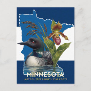 Postal Símbolos del estado de Minnesota del somorgujo y l