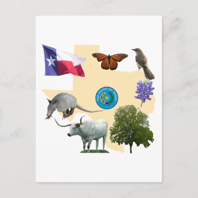 Postal Símbolos del Estado de Texas (Anverso)