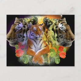Postal Simetría de tigre zoológico