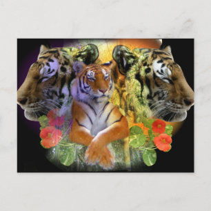 Postal Simetría de tigre zoológico