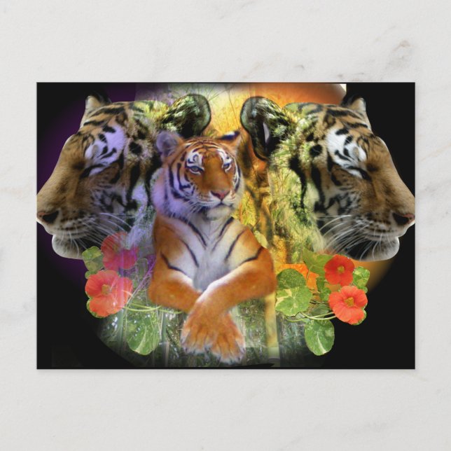 Postal Simetría de tigre zoológico (Anverso)
