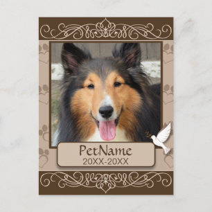 Postal Simpatía con el Mascota Personalizado de Brown Cal