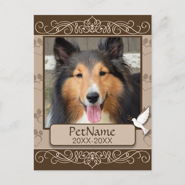 Postal Simpatía con el Mascota Personalizado de Brown Cal (Anverso)