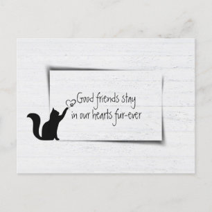 Postal Simpatía por la pérdida de gatito de la clínica ve
