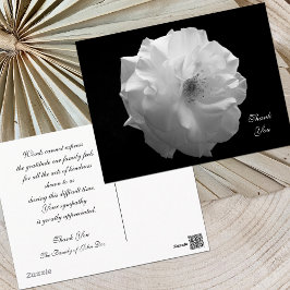 Postal Simpatía Rosa Gracias Postcard