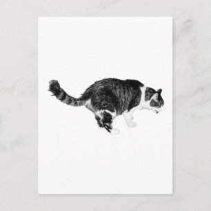 Postal Simple Curiosidad, Saludo Festivo