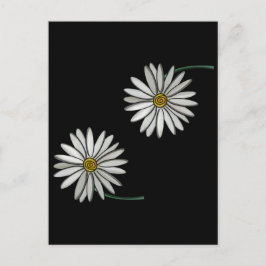 Postal Simply Daisies