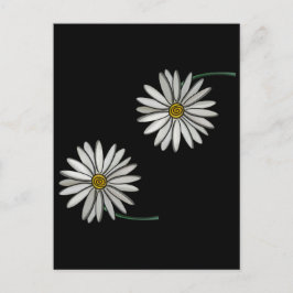 Postal Simply Daisies
