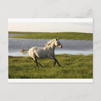 Postal Sin ejecución