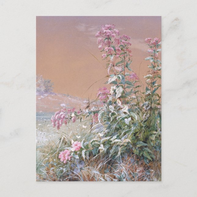 Postal Sin título | Fidelia Bridges (Anverso)