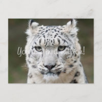 Sincero Leopardo de las Nieves Gracias
