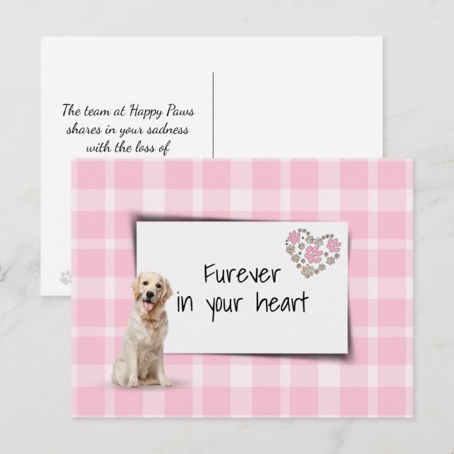 Postal Sincronía de pérdida de mascota Retriever Dorado (Anverso / Reverso)