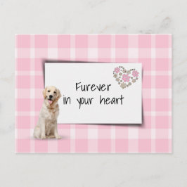 Postal Sincronía de pérdida de mascota Retriever Dorado