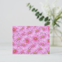 Sinfonía de Gerberas Rosadas,