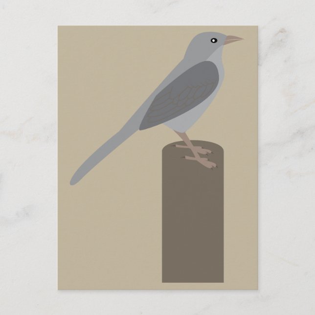 Postal Sinsontes (Anverso)