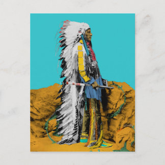 Postal sioux lakota nativa estadounidense