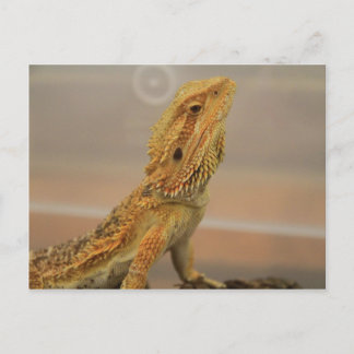 Postal Sir Charles Posing