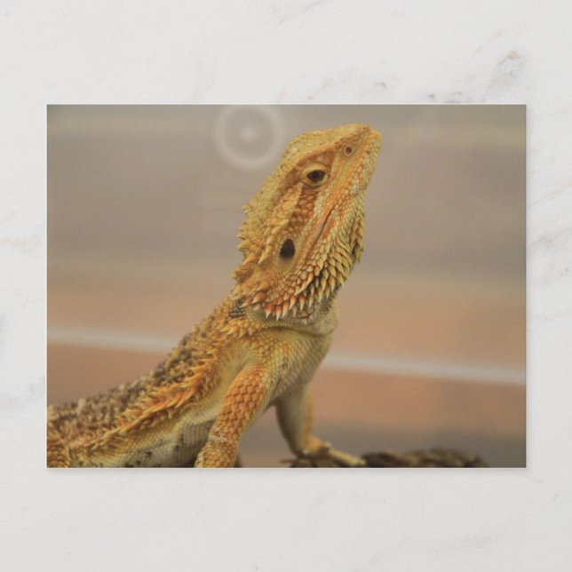 Postal Sir Charles Posing (Anverso)