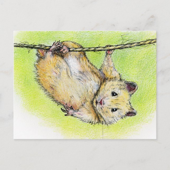 Postal Sir Ham (Anverso)