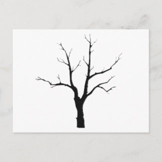 Postal Sistema blanco y negro del árbol del invierno