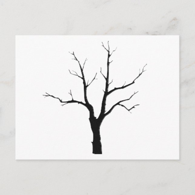 Postal Sistema blanco y negro del árbol del invierno (Anverso)