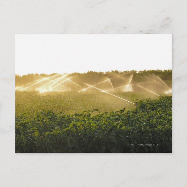 Postal Sistema de riego agrícola de riego 2 (Anverso)