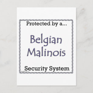 Postal Sistema de seguridad belga de Malinois
