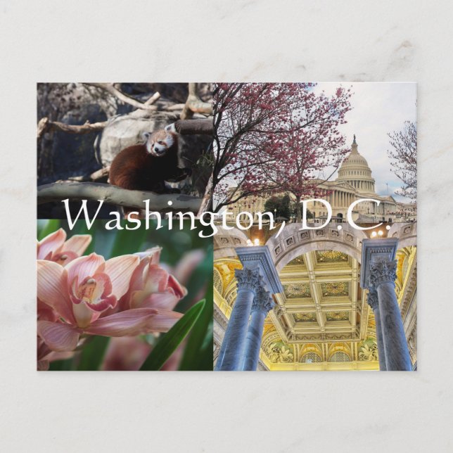 Postal Sitios de Washington, D.C. (Anverso)