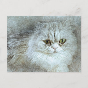 Postal Sitting Bonito Kitty   Resumen   Acuarela