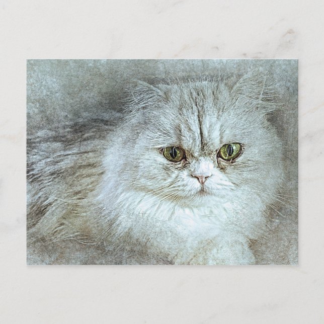 Postal Sitting Bonito Kitty | Resumen | Acuarela (Anverso)