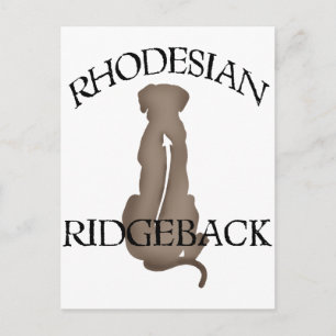 Postal Sitting Ridgeback Rhodesian con texto