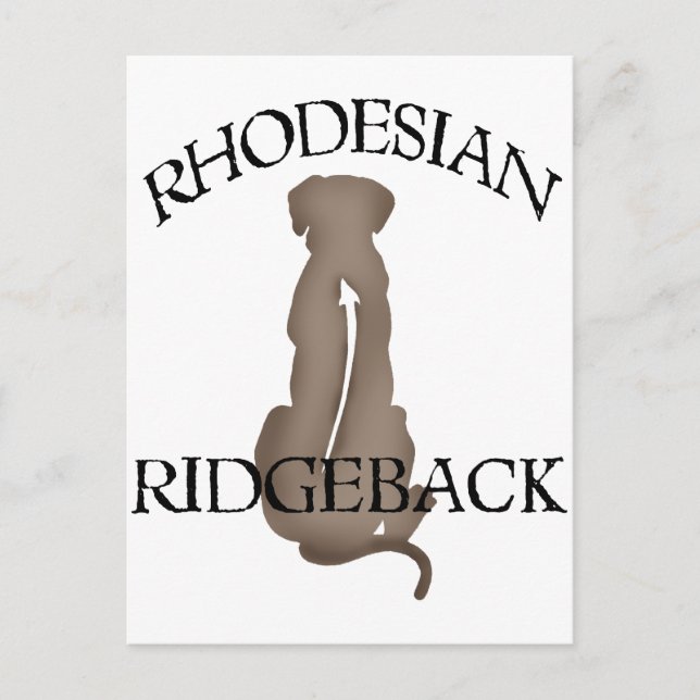 Postal Sitting Ridgeback Rhodesian con texto (Anverso)