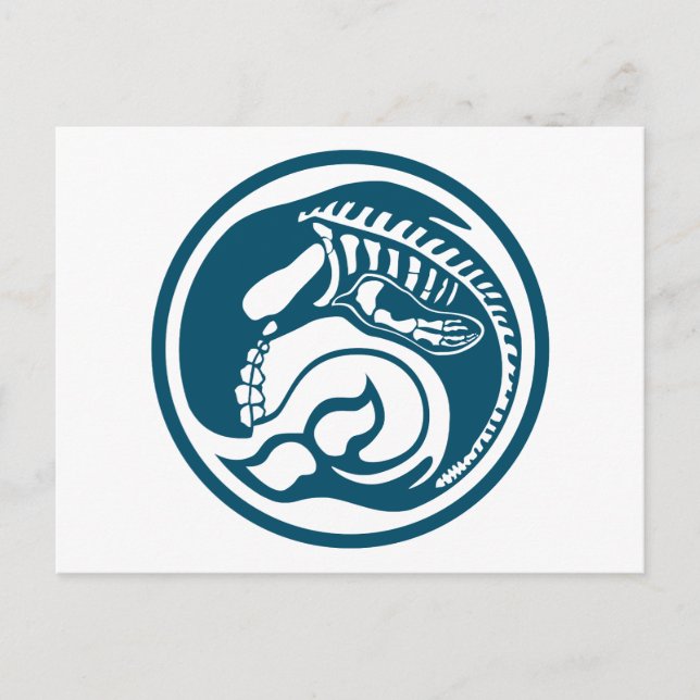 Postal skeleorca (Anverso)