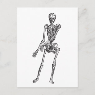 Postal Skeleton