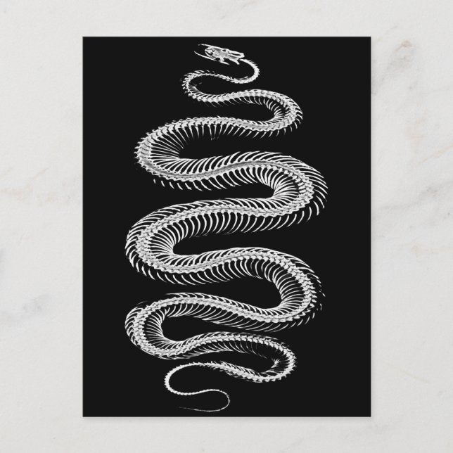 Postal Skeleton de serpiente deslizante (Anverso)