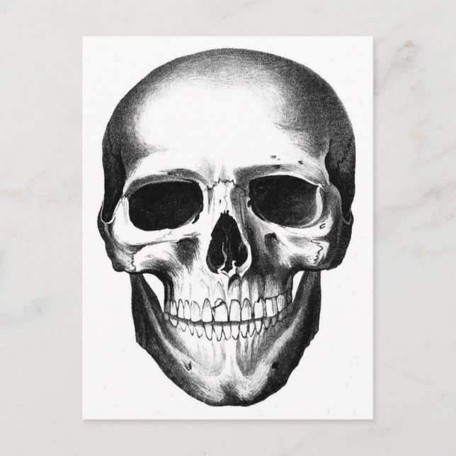 Postal Skeleton Head Sasuy Creepe Halloween (Anverso)