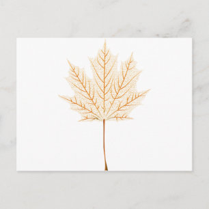 Postal Skeleton maple leaf