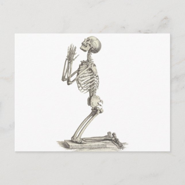 Postal Skeleton vintage (Anverso)