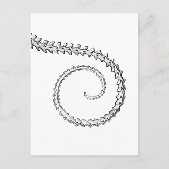 Postal Skeleton vintage (Anverso)