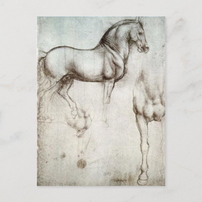 Postal Sketch de caballos (Anverso)