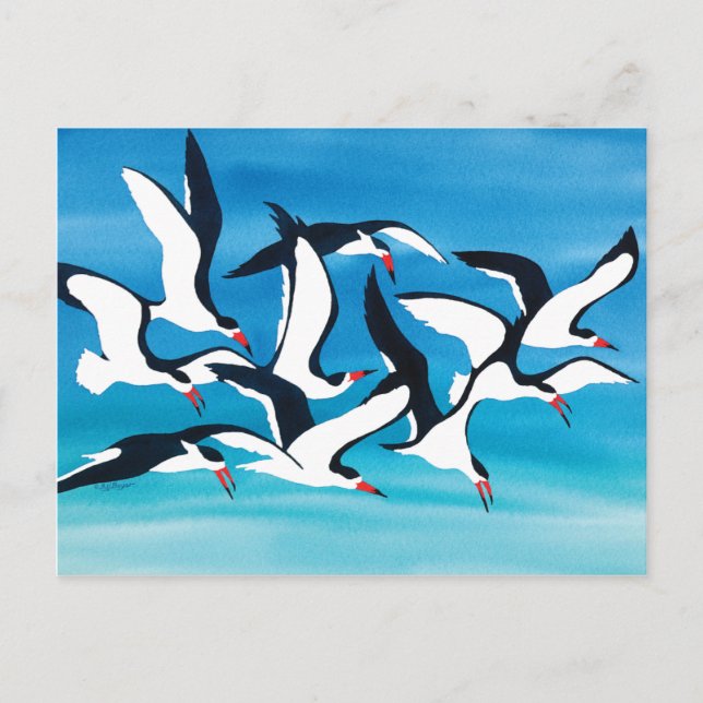 Postal Skimming the Surface (Anverso)