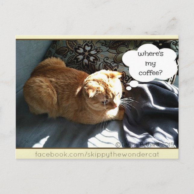 Postal Skippy Where is My Coffee (Anverso)