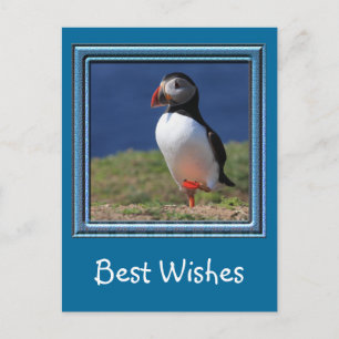 Postal Skomer Island Puffins